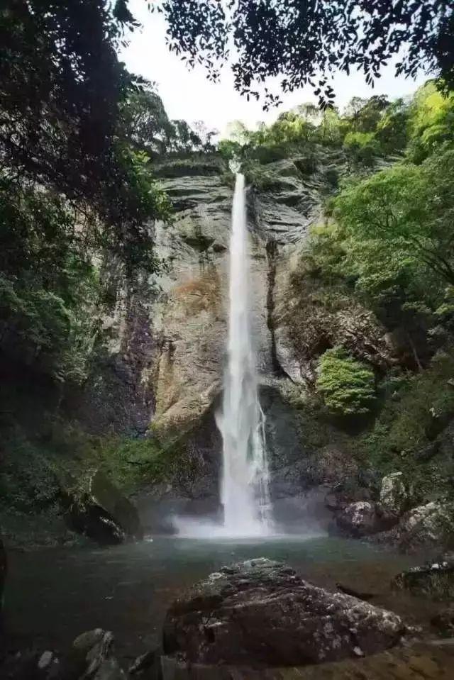 新春走基层·黄土地上的“大食物”∣一只羊的科技含量
